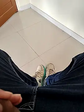 SplitPrestige19 webcam