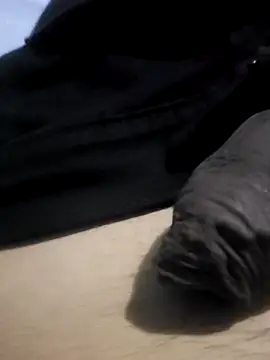 novinho_hot69 webcam