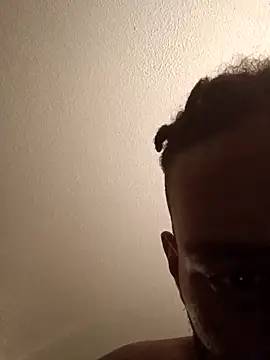 ReallyReallyReal webcam