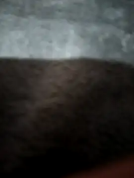 Preview of tattyrob87