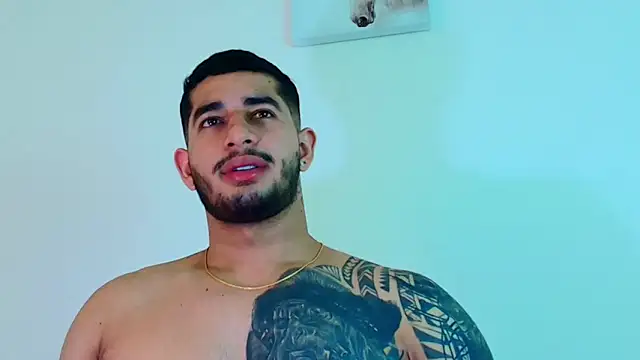 king_falconer webcam