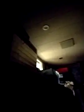 AceticPinscher webcam