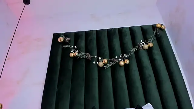 africa_holmes webcam