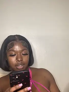 TinyBlazian901 webcam