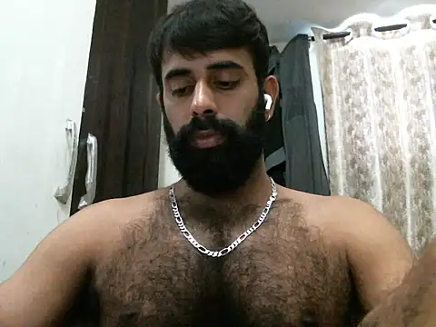 indianhairybull webcam