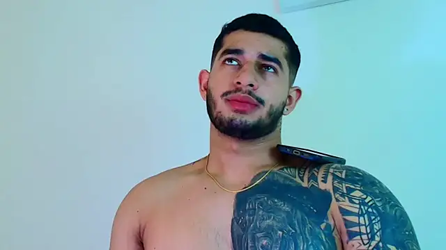 king_falconer webcam