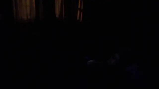 _Charlize_theron_ webcam