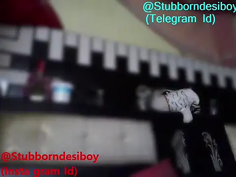 Stubborndesiboy webcam