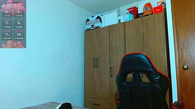 Hgp3riodictabl3 webcam