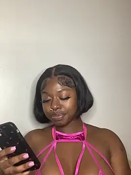 TinyBlazian901 webcam