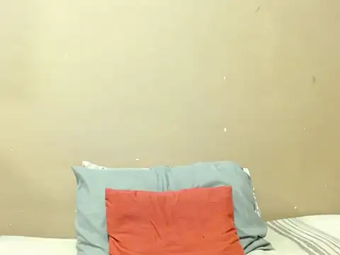 champaigncork webcam