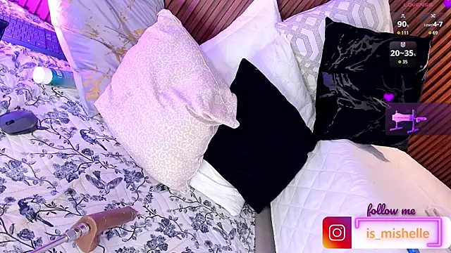 _mishelle webcam
