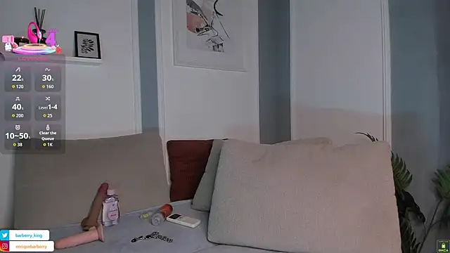 EnriqueBarberry webcam