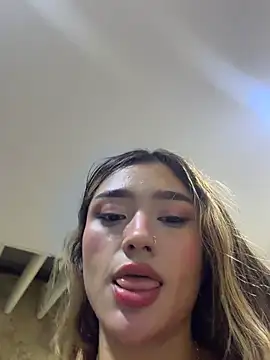 Arianavillada webcam