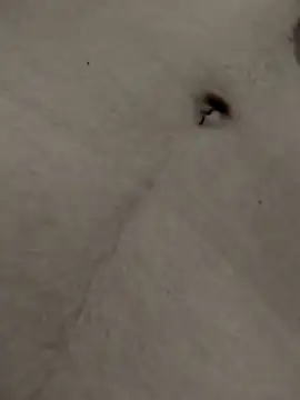 Smith_grace25 webcam