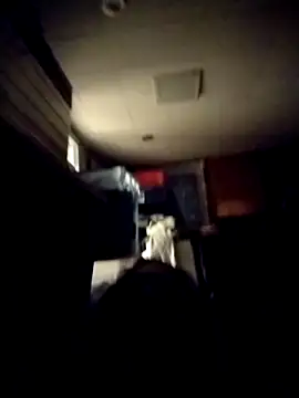 AceticPinscher webcam