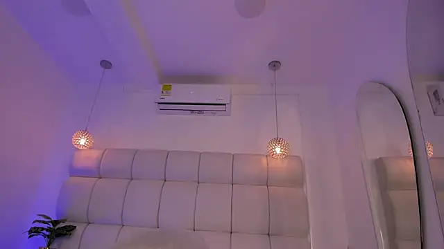 Alexa_Handler webcam