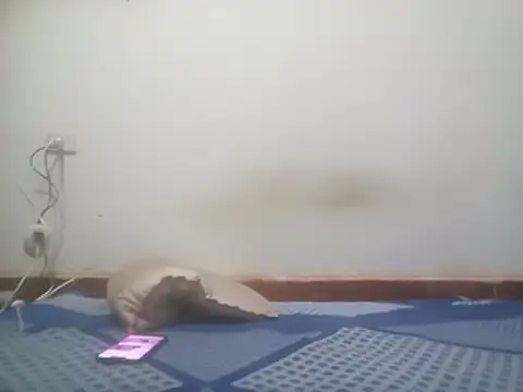 Pngrande20cm2 webcam