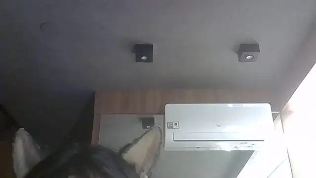 SkinnyKitten webcam