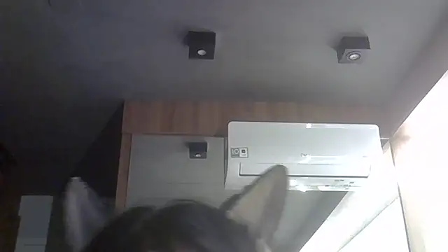 SkinnyKitten webcam