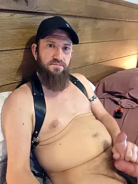 Icebearsticlese webcam