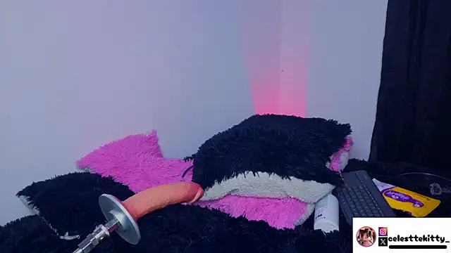 celestte_evans_1 webcam