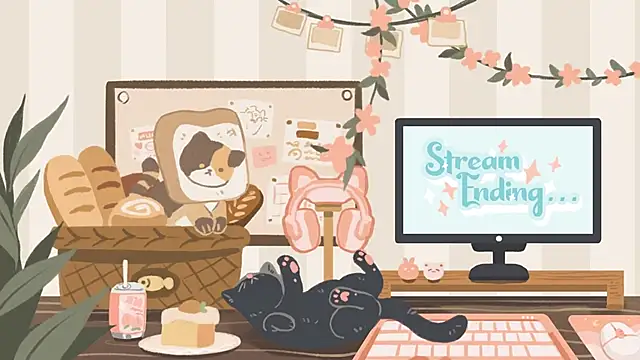 geekycastillo webcam