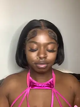 TinyBlazian901 webcam