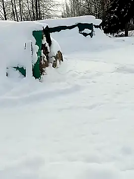 _uncle_Mitya-43_ webcam