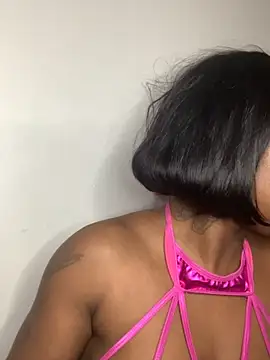 TinyBlazian901 webcam