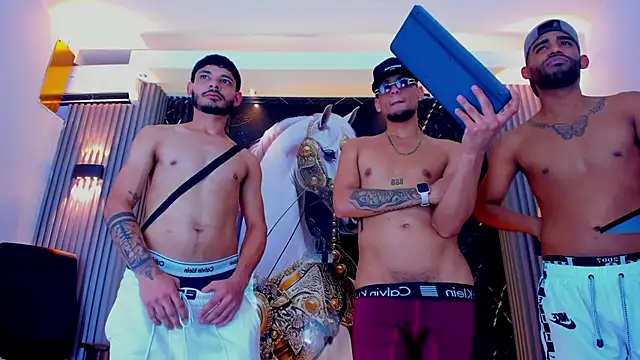 the_knights_of_the_night webcam