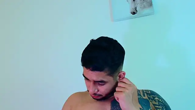 king_falconer webcam