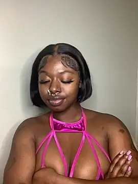 TinyBlazian901 webcam