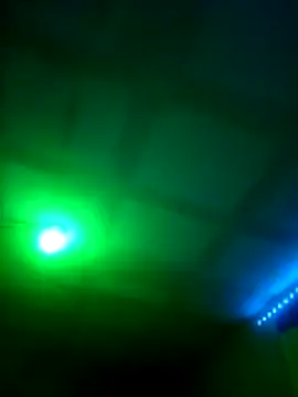 Juniorharo1982 webcam