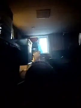 AceticPinscher webcam