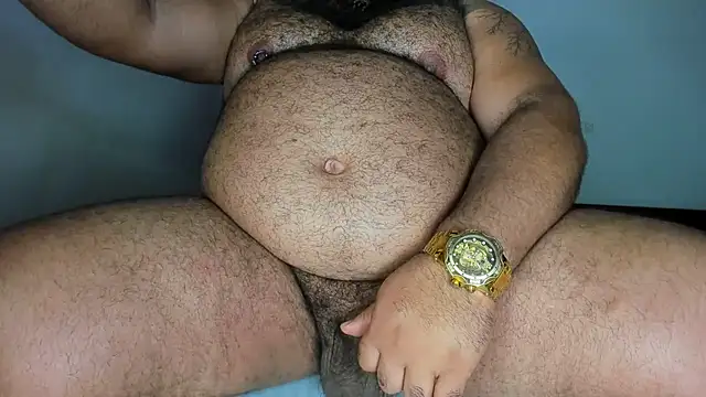 Bearspigdirty webcam
