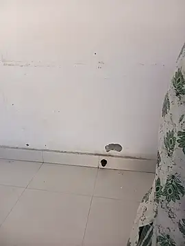 Sarita-school webcam