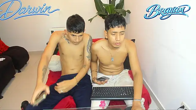 darwinandbrayann webcam