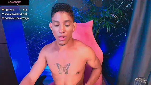Palo_santo webcam