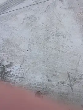 stallone_italiano_62 webcam