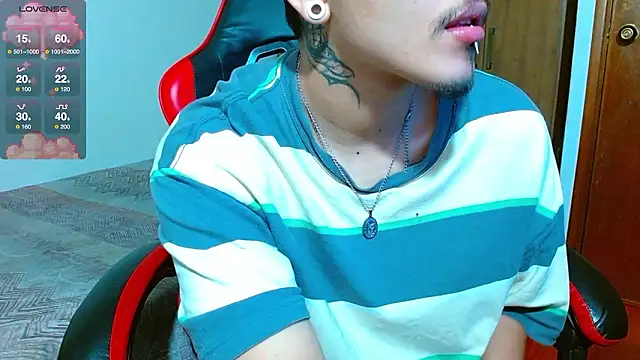 Hgp3riodictabl3 webcam