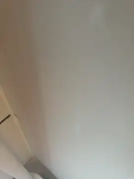 Bigdick_20cmlang6cmbreit webcam