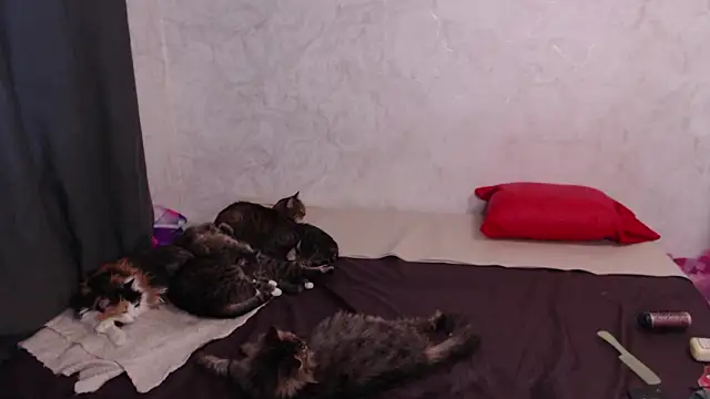 Olivia_Winston webcam