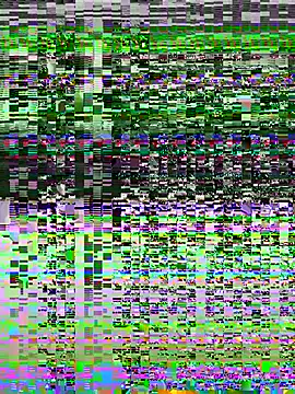 star_anastasia webcam