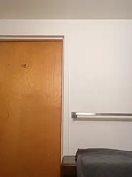 ReallyReallyReal webcam