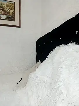 ElizabethWeil webcam