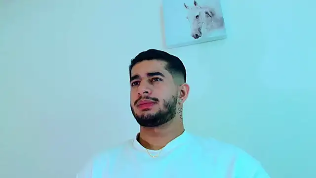 king_falconer webcam