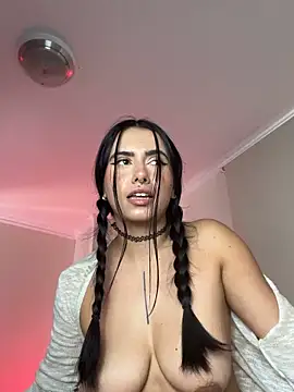 Samispank webcam
