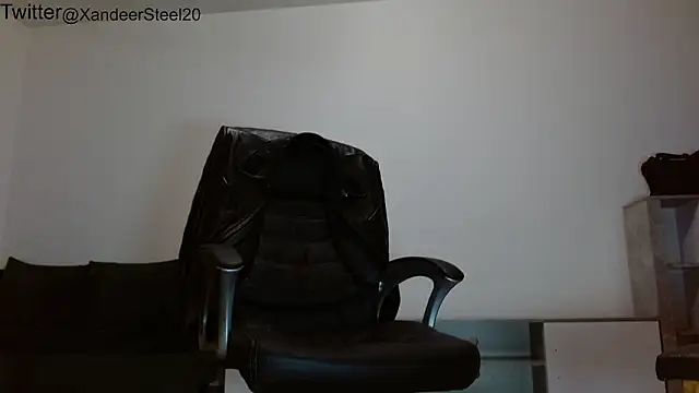 Xandeer_Steel webcam