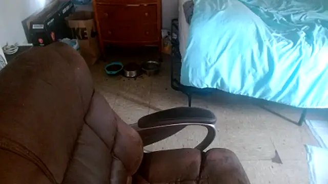 DADDY_KANE8--- webcam